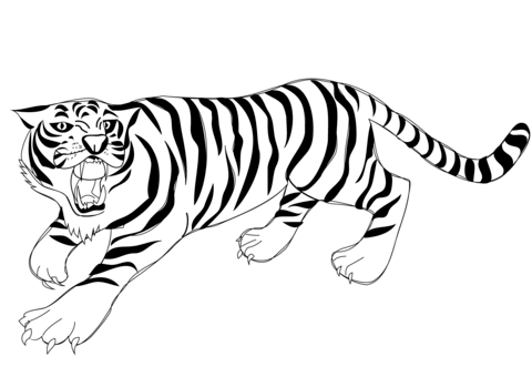 Roaring Tiger Coloring Page